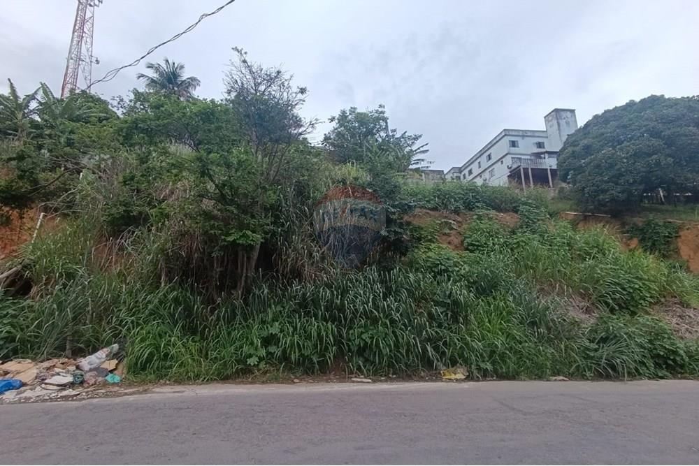 Terreno - Venda - Cariacica , Espírito Santo - WhatsApp Image 2025-11-13 at 10.32.11.jpeg - 620171073-2