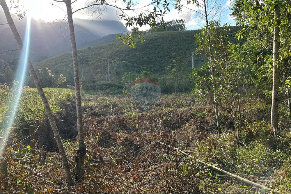 Chácara / Sítio / Fazenda - Venda - Divino de São Lourenço , Espírito Santo - WhatsApp Image 2025-07-30 at 10.47.59.jpeg - 620251001-38