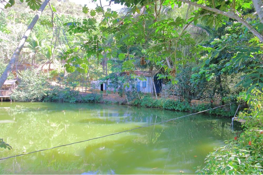 Chácara / Sítio / Fazenda - Venda - Santa Leopoldina , Espírito Santo - 17.JPG - 620171030-30