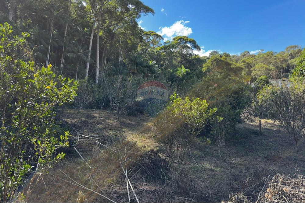 Terreno - Venda - Domingos Martins , Espírito Santo - 53-c-17.jpg - 620171046-22