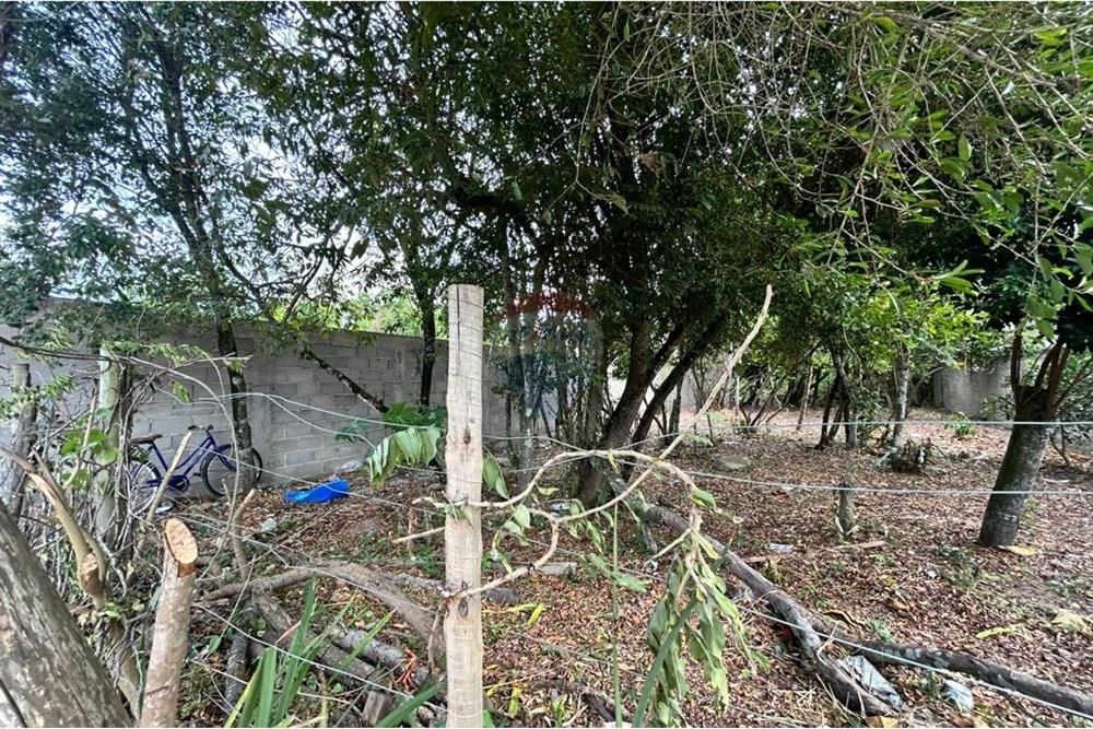 Terreno - Venda - Anchieta , Espírito Santo - WhatsApp Image 2025-11-18 at 16.08.02.jpeg - 620181007-55