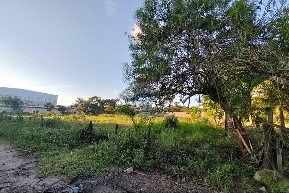 Terreno - Venda - Vila Velha , Espírito Santo - IMG_20250608_162107.jpg - 620101031-20