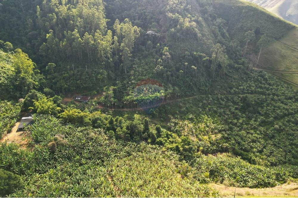 Chácara / Sítio / Fazenda - Venda - Iconha , Espírito Santo - DJI_0555.JPG - 620201020-13