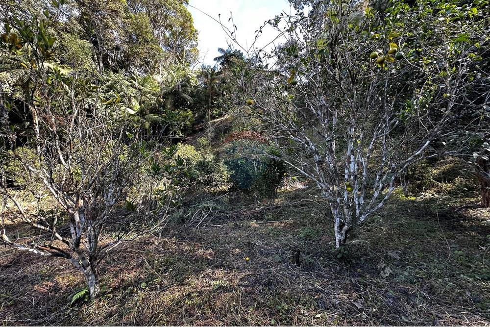 Terreno - Venda - Domingos Martins , Espírito Santo - 53-c-15.jpg - 620171046-22