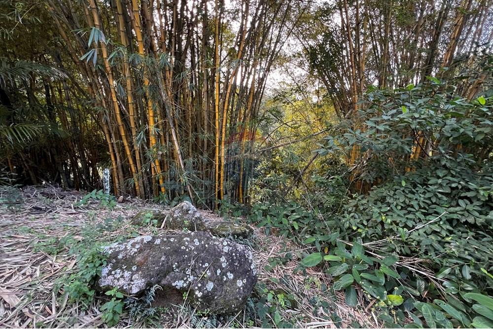 Chácara / Sítio / Fazenda - Venda - Anchieta , Espírito Santo - 20250714_172054007_iOS.jpg - 620201024-1