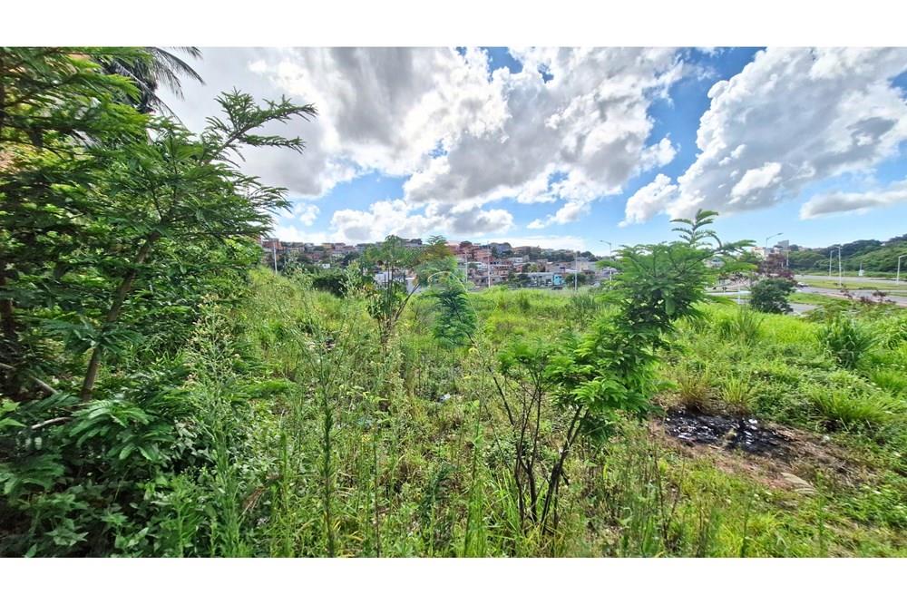 Terreno - Venda - Cariacica , Espírito Santo - 5.jpg - 620071078-1