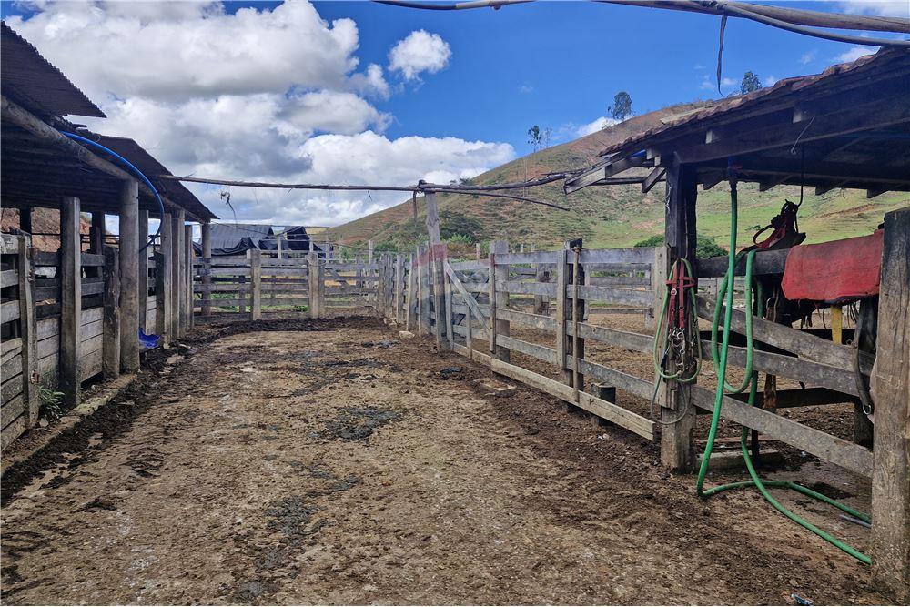 Fazenda - Venda - Aimorés , Minas Gerais - 17 - 620131043-13
