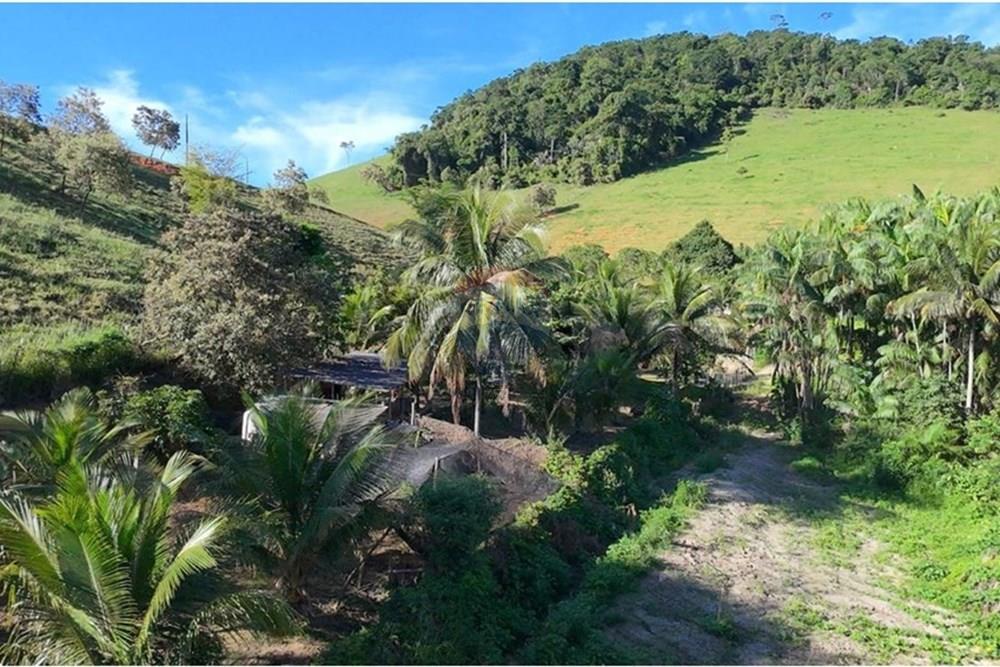 Chácara / Sítio / Fazenda - Venda - Anchieta , Espírito Santo - Imagem do WhatsApp de 2025-09-05 à(s) 16.03.48_371dd284.jpg - 620181007-57