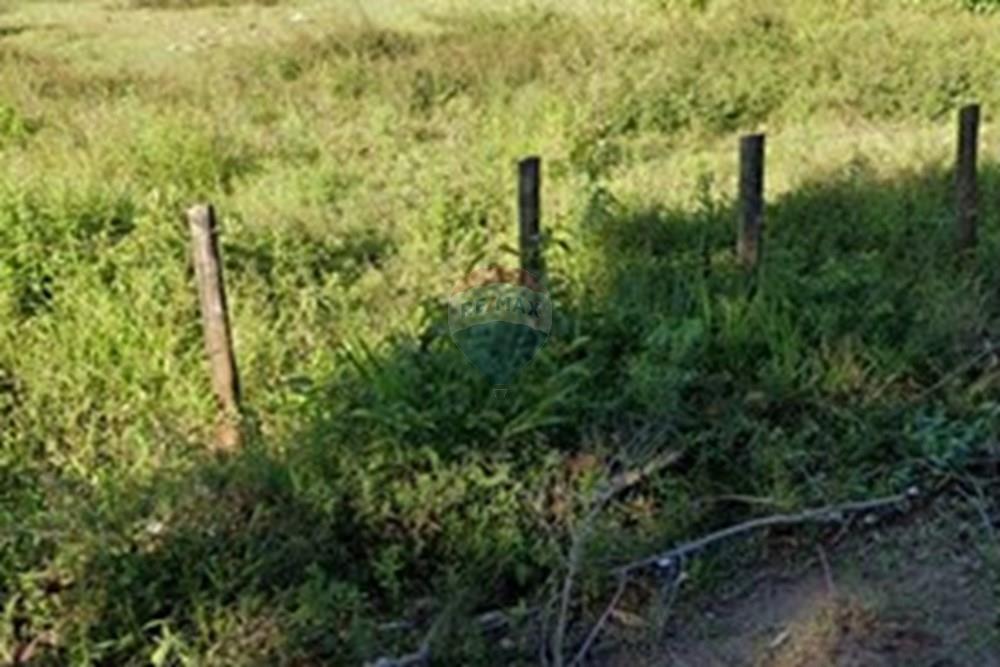 Terreno - Venda - Vila Velha , Espírito Santo - Screenshot_2025-08-04-15-56-06-003_com.google.android.apps.maps.jpg - 620101031-20