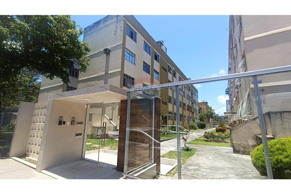 Apartamento - Alugar - Vitória , Espírito Santo - IMG_20260115_114019.jpg - 620121036-250