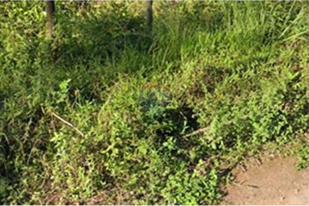 Terreno - Venda - Vila Velha , Espírito Santo - Screenshot_2025-08-04-15-55-43-166_com.google.android.apps.maps.jpg - 620101031-20