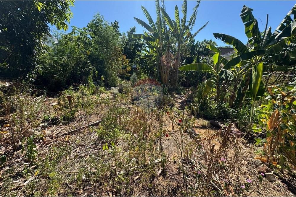 Terreno - Venda - Vitória , Espírito Santo - WhatsApp Image 2025-02-19 at 02.18.57 (1).jpeg - 620131108-8