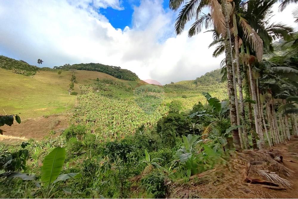 Chácara / Sítio / Fazenda - Venda - Iconha , Espírito Santo - 1751471375778.jpg - 620201020-13