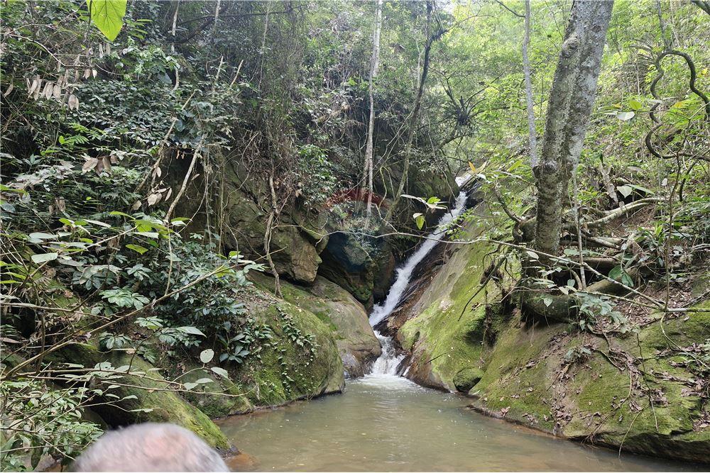 Fazenda - Venda - Aimorés , Minas Gerais - 19 - 620131043-13