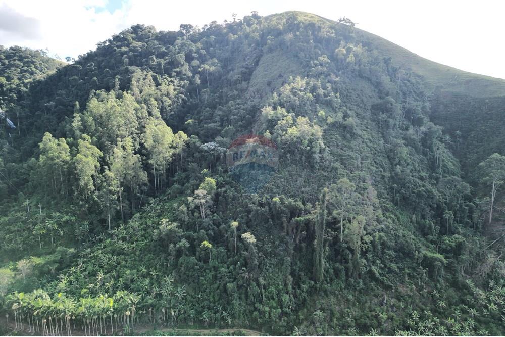 Chácara / Sítio / Fazenda - Venda - Iconha , Espírito Santo - DJI_0520.JPG - 620201020-13