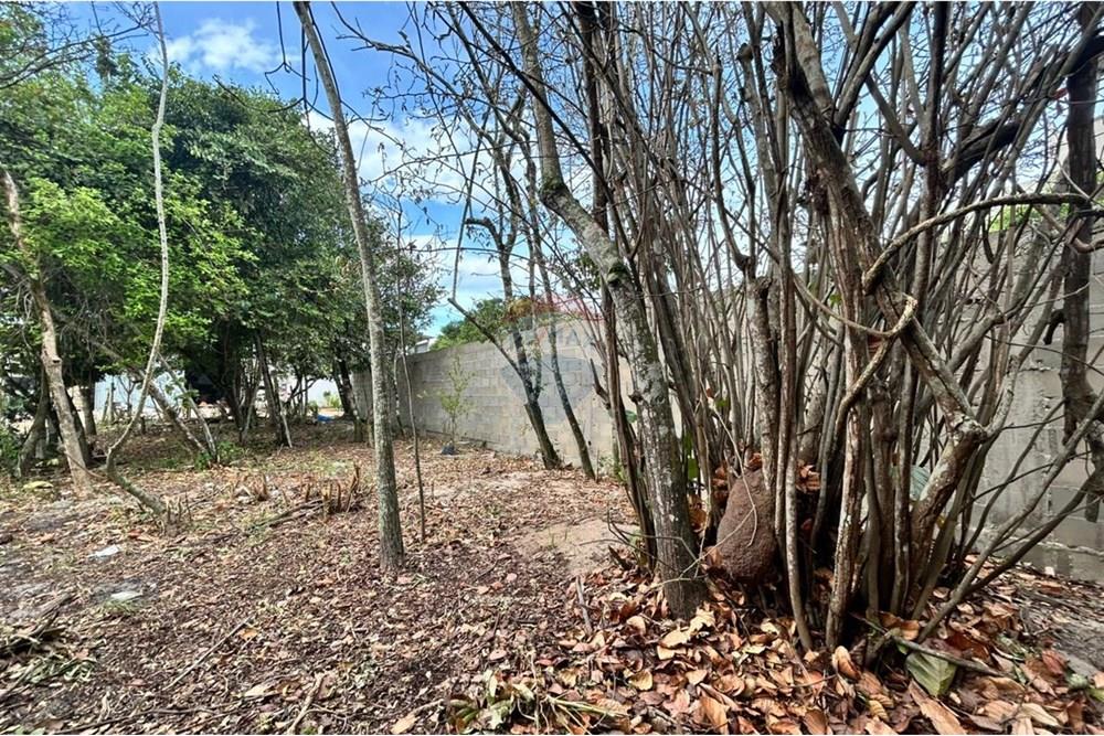 Terreno - Venda - Anchieta , Espírito Santo - WhatsApp Image 2025-11-18 at 16.08.02 (3).jpeg - 620181007-55