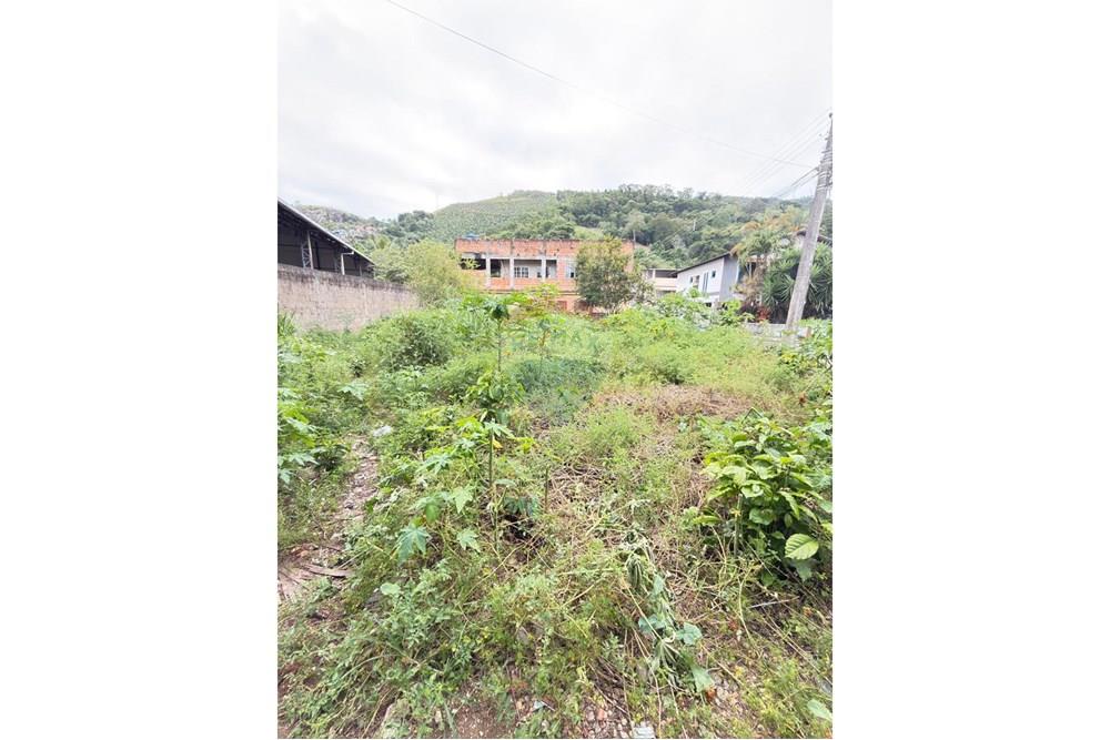 Terreno - Venda - Rio Novo do Sul , Espírito Santo - WhatsApp Image 2025-11-28 at 15.38.43 (1).jpeg - 620291001-1