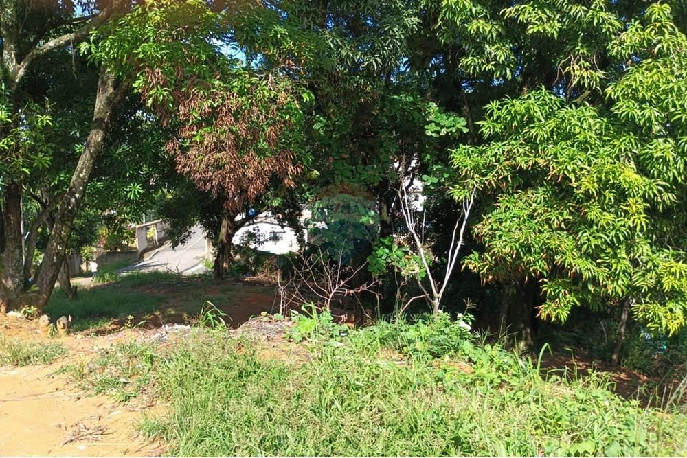 Terreno - Venda - Viana , Espírito Santo - e0da32b2-d8ae-4b51-8626-11cc8df2964c.jpg - 620101040-8