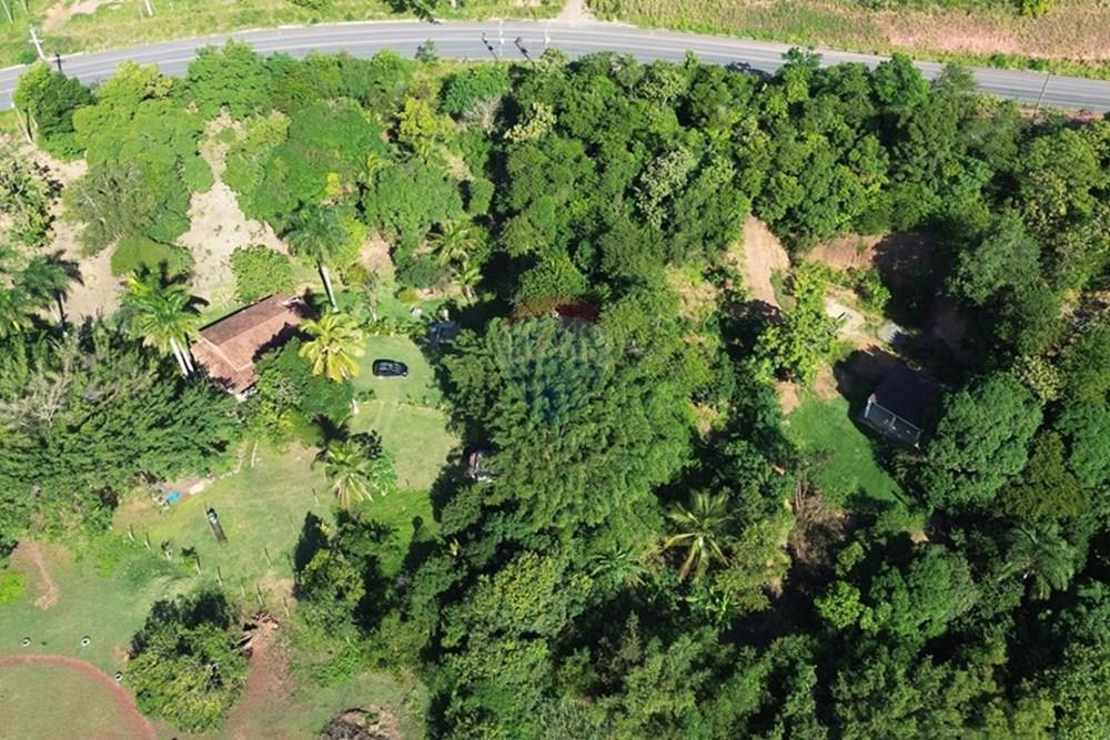 Chácara / Sítio / Fazenda - Venda - Vila Velha , Espírito Santo - WhatsApp Image 2025-07-31 at 15.31.31 (1).jpeg - 620101031-18