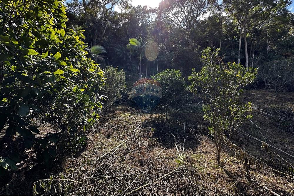 Terreno - Venda - Domingos Martins , Espírito Santo - 53-c-18.jpg - 620171046-22