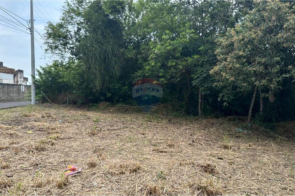 Terreno - Venda - Vila Velha , Espírito Santo - WhatsApp sImage 2026-03-03 at 16.25.29.jpeg - 620231017-4