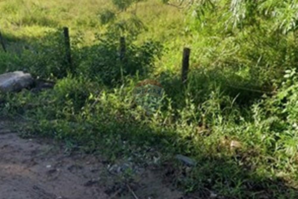 Terreno - Venda - Vila Velha , Espírito Santo - Screenshot_2025-08-04-15-56-30-146_com.google.android.apps.maps.jpg - 620101031-20