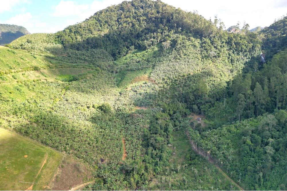 Chácara / Sítio / Fazenda - Venda - Iconha , Espírito Santo - DJI_0532.JPG - 620201020-13