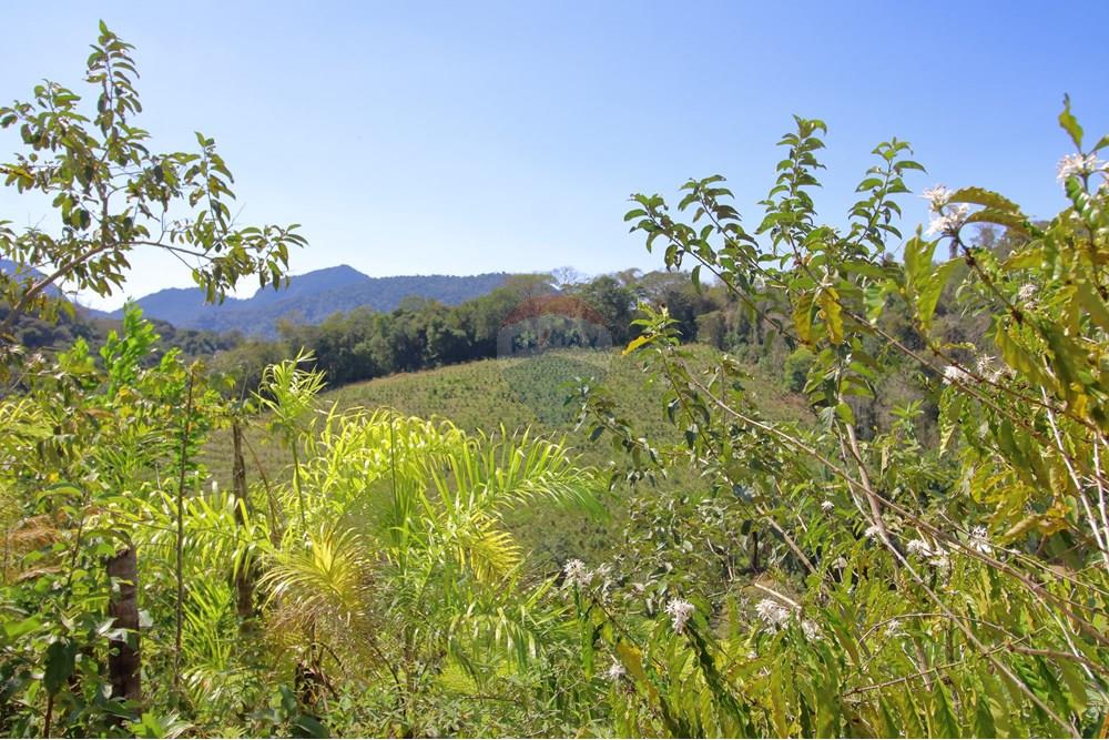 Chácara / Sítio / Fazenda - Venda - Santa Leopoldina , Espírito Santo - 31.JPG - 620171030-30