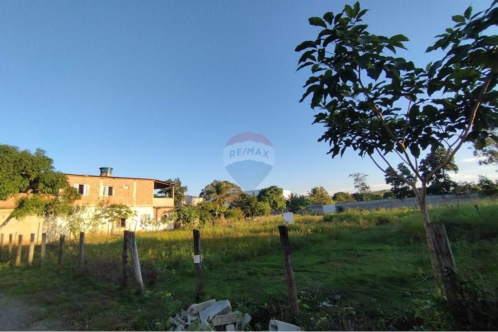 Terreno - Venda - Vila Velha , Espírito Santo - IMG_20250608_161955.jpg - 620101031-20