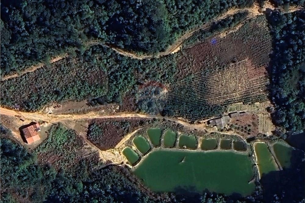 Chácara / Sítio / Fazenda - Venda - Santa Maria de Jetibá , Espírito Santo - Google Maps Sítio Fogo de Chão.jpg - 620211025-2