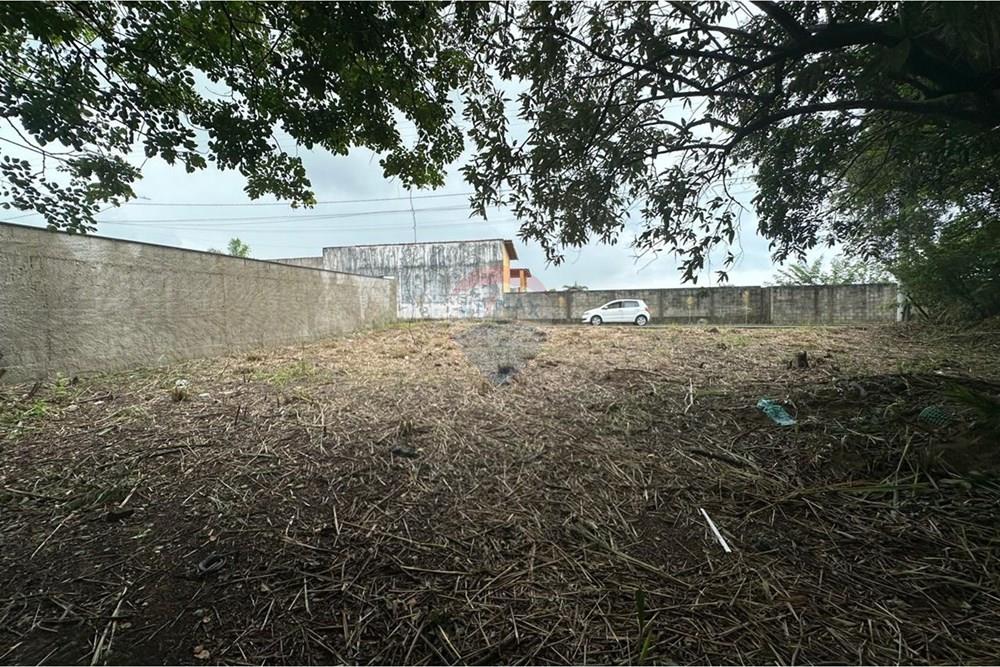 Terreno - Venda - Vila Velha , Espírito Santo - WhatsApp Imagee 2026-03-03 at 16.25.29.jpeg - 620231017-4