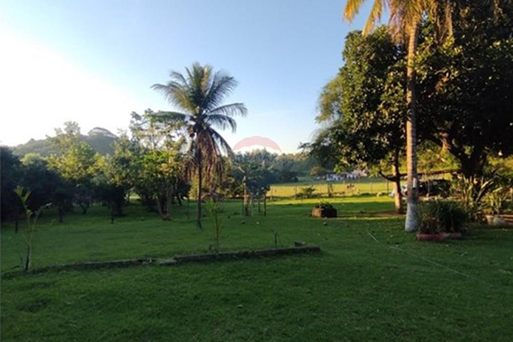 Chácara / Sítio / Fazenda - Venda - Vila Velha , Espírito Santo - IMG_20250608_163132.jpg - 620101031-18