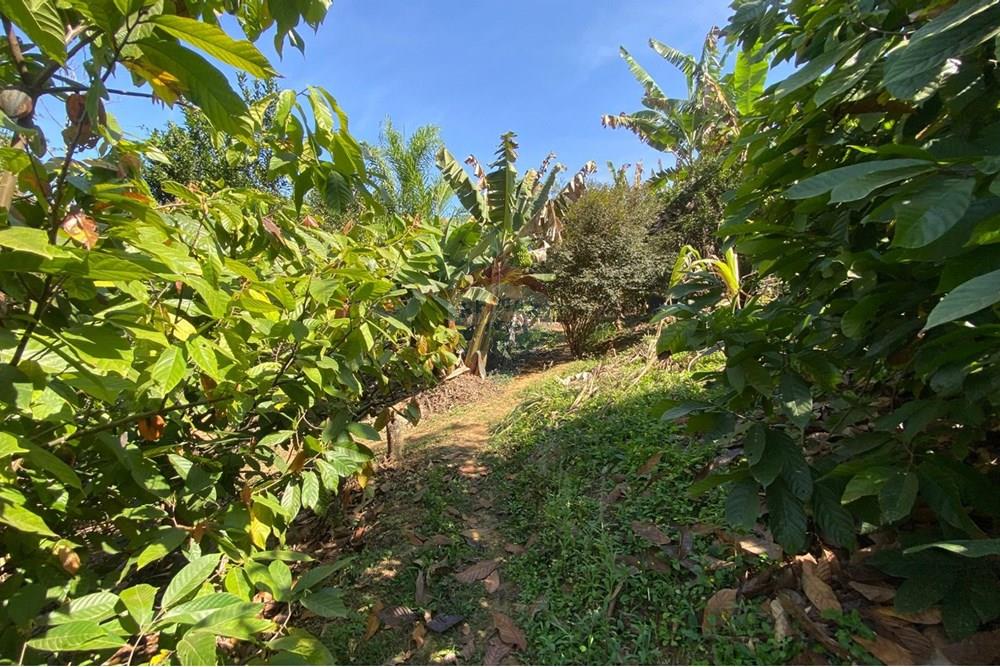 Chácara / Sítio / Fazenda - Venda - Alegre , Espírito Santo - WhatsApp Image 2025-08-15 at 16.18.05 (1).jpeg - 620251001-49