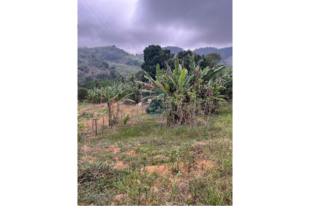 Terreno - Venda - Rio Novo do Sul , Espírito Santo - PHOTO-2025-12-11-10-19-31.jpg - 620291001-11