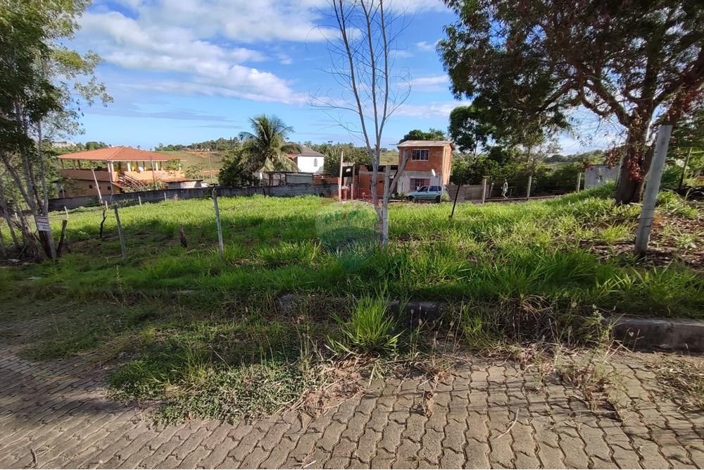 Terreno - Venda - Anchieta , Espírito Santo - WhatsApp Image 2025-04-11 at 15.59.10.jpeg - 620181007-41