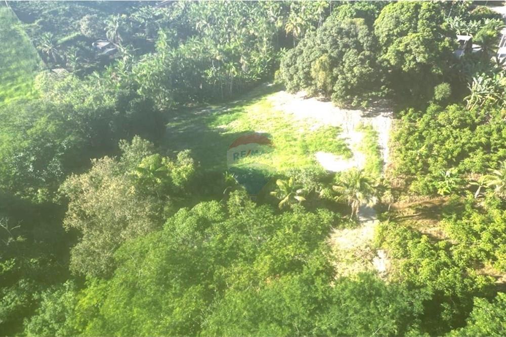 Chácara / Sítio / Fazenda - Venda - Anchieta , Espírito Santo - Imagem do WhatsApp de 2025-09-05 à(s) 16.03.39_4a4d8f2a.jpg - 620181007-57