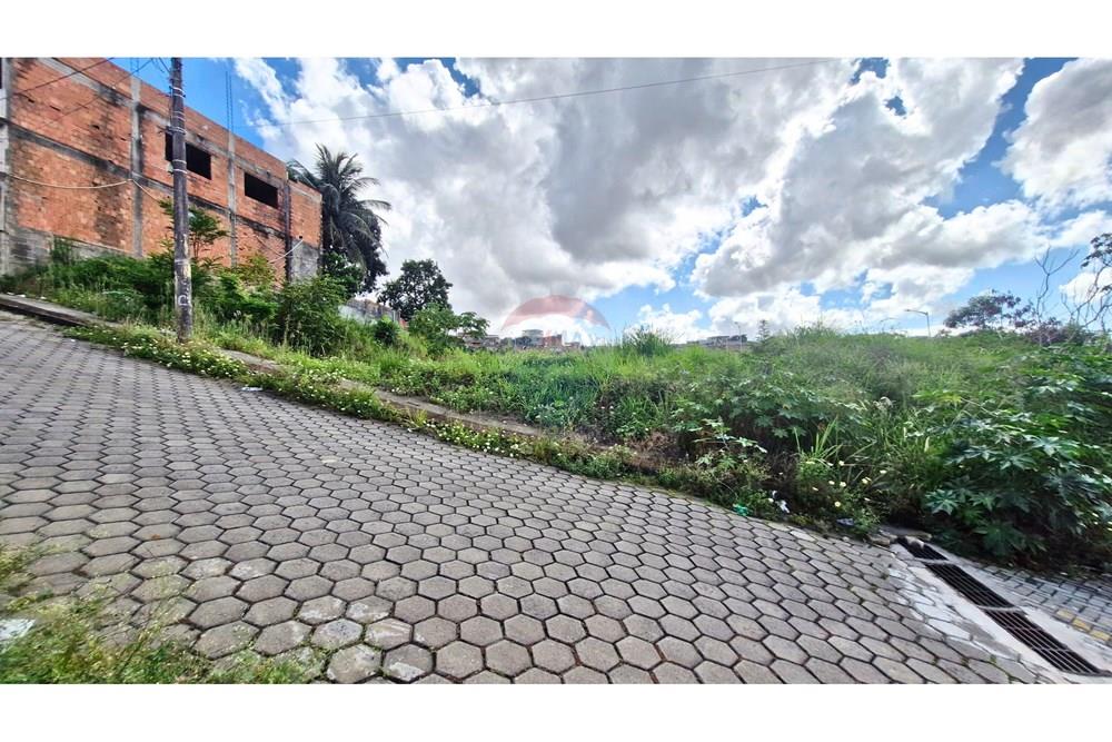 Terreno - Venda - Cariacica , Espírito Santo - 9.jpg - 620071078-1
