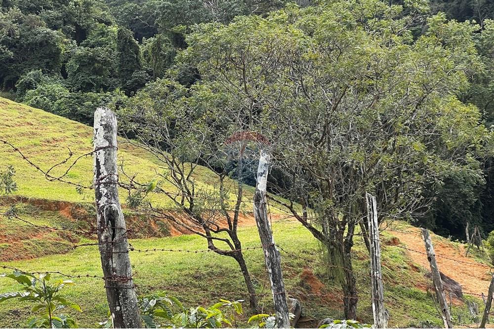 Chácara / Sítio / Fazenda - Venda - Anchieta , Espírito Santo - 20250714_161409351_iOS.jpg - 620201024-1