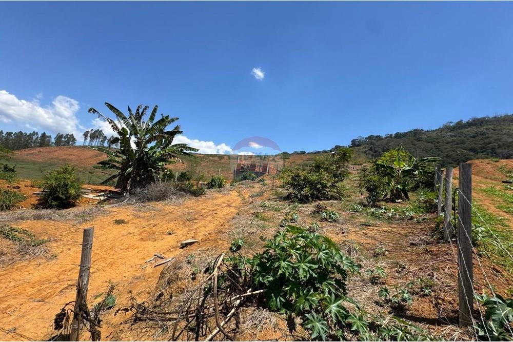 Chácara / Sítio / Fazenda - Venda - Guaçuí , Espírito Santo - WhatsApp Image 2025-09-30 at 12.17.43 (8).jpeg - 620251015-1