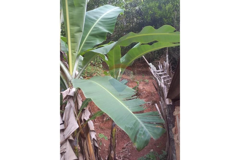 Casa - Venda - Guaçuí , Espírito Santo - WhatsApp Image 2026-03-31 at 12.33.52 (2).jpeg - 620251022-18