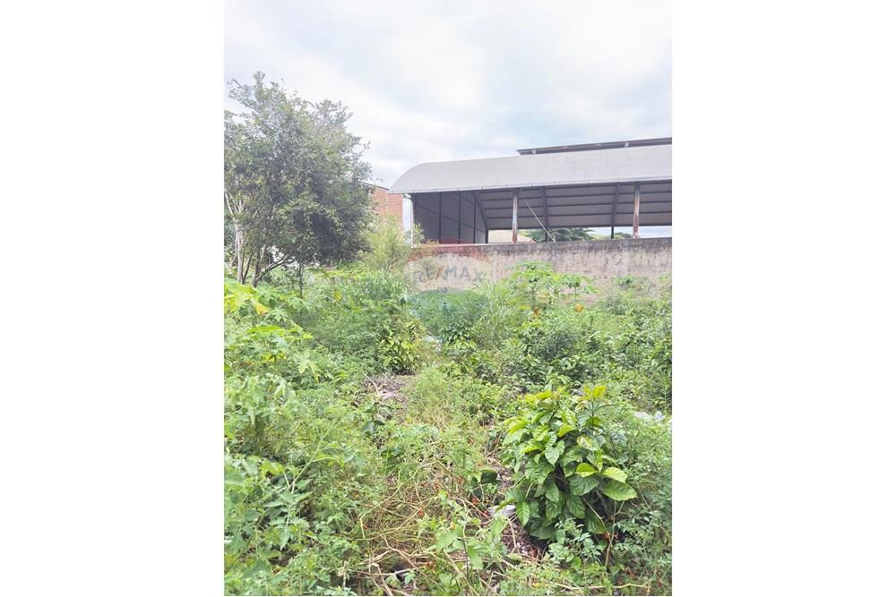 Terreno - Venda - Rio Novo do Sul , Espírito Santo - WhatsApp Image 2025-11-28 at 15.38.42 (1).jpeg - 620291001-2