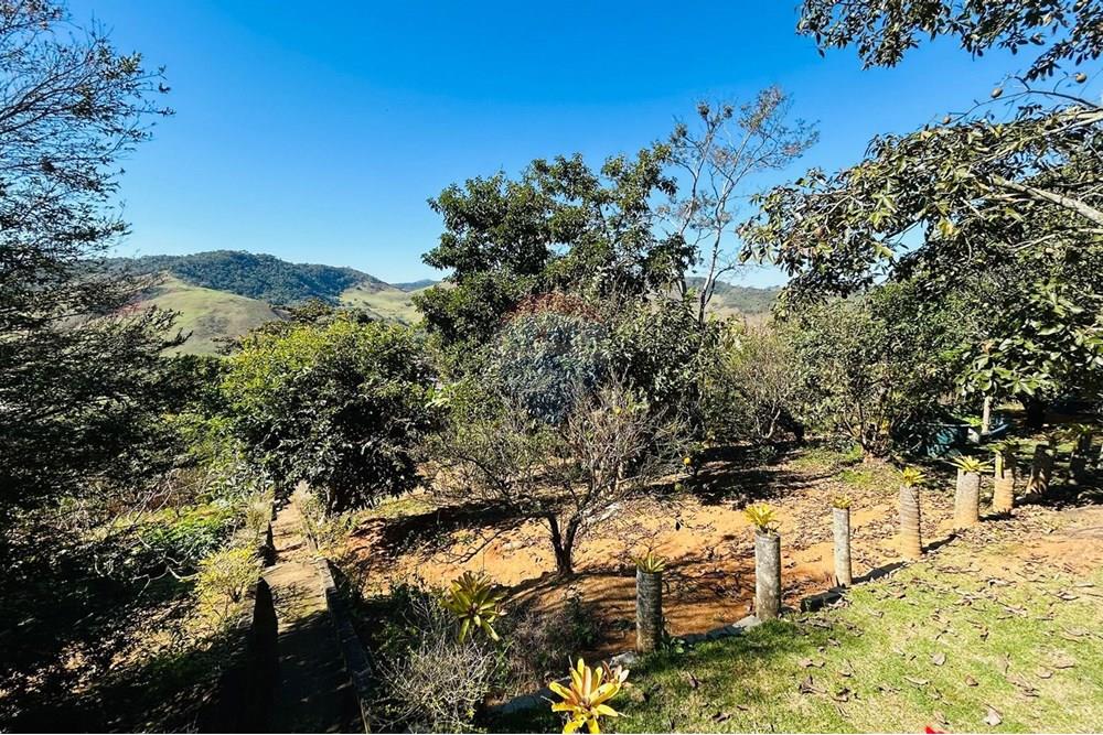 Chácara / Sítio / Fazenda - Venda - Guaçuí , Espírito Santo - WhatsApp Image 2025-07-23 at 14.15.04.jpeg - 620251001-14