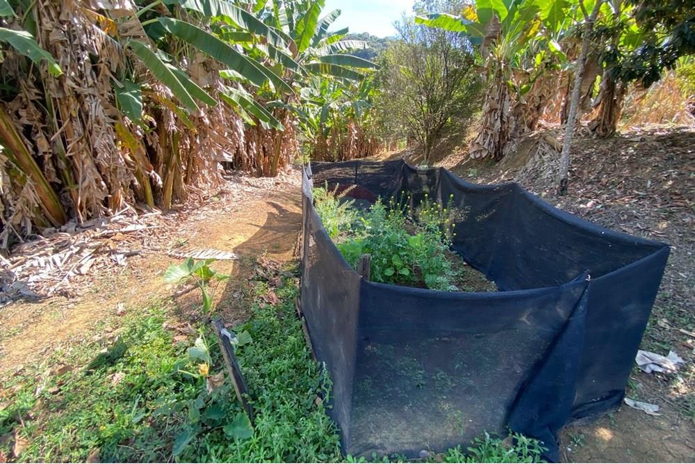 Chácara / Sítio / Fazenda - Venda - Alegre , Espírito Santo - WhatsApp Image 2025-08-15 at 16.18.06.jpeg - 620251001-49