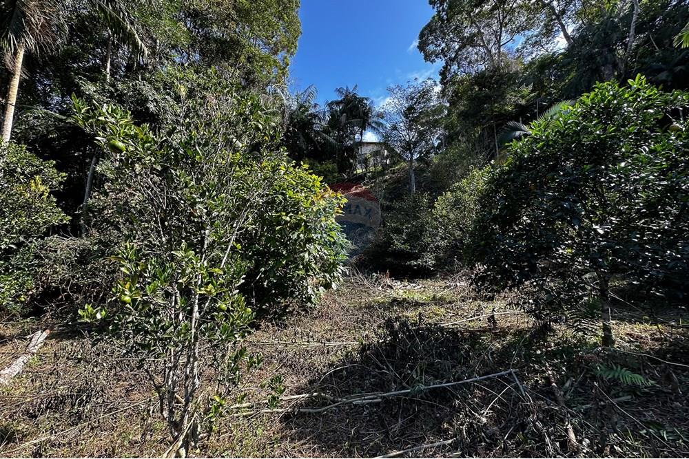 Terreno - Venda - Domingos Martins , Espírito Santo - 53-c-19.jpg - 620171046-22