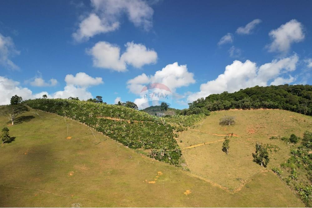 Chácara / Sítio / Fazenda - Venda - Iconha , Espírito Santo - DJI_0512.JPG - 620201020-13