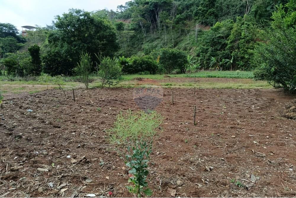 Terreno - Venda - Guaçuí , Espírito Santo - WhatsApp Image 2025-11-24 at 14.58.04.jpeg - 620251012-8