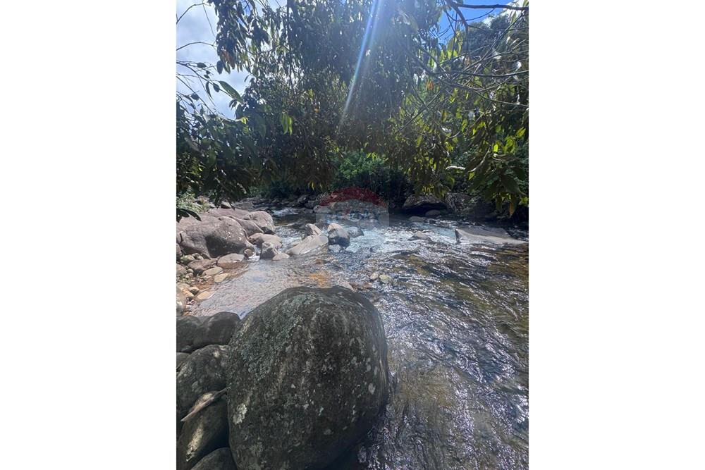 Terreno - Venda - Ibitirama , Espírito Santo - WhatsApp Image 2026-03-24 at 13.44.53 (2).jpeg - 620251015-41