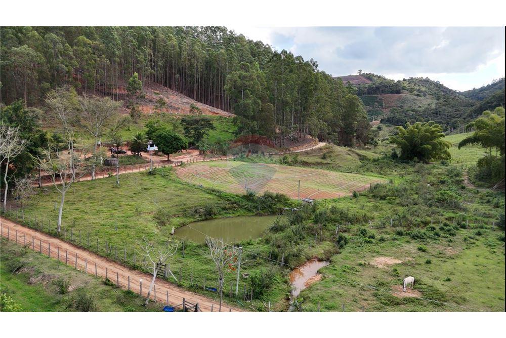 Fazenda - Venda - Aimorés , Minas Gerais - 9 - 620131043-13