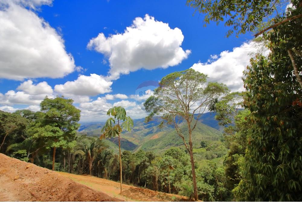 Chácara / Sítio / Fazenda - Venda - Santa Teresa , Espírito Santo - 10 - 4 Vista Gleba 4.JPG - 620171030-37