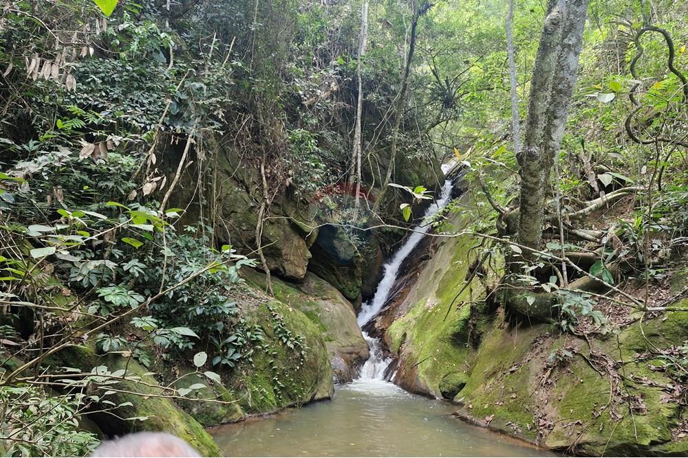 Fazenda - Venda - Aimorés , Minas Gerais - 20250613_142527.jpg - 620131043-13